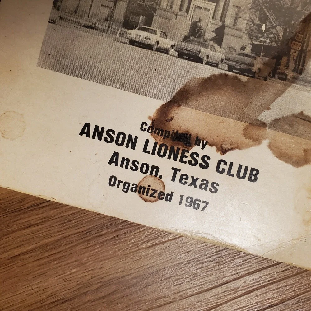 N/A anson lioness